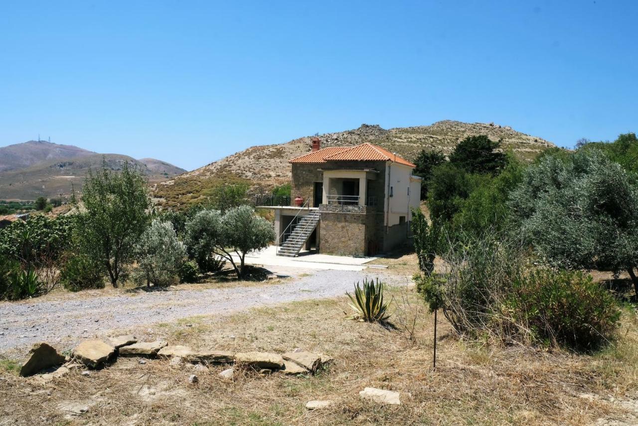 Villa Stone House Of Panos à Kornos Extérieur photo