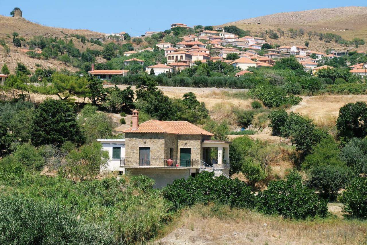 Villa Stone House Of Panos à Kornos Extérieur photo